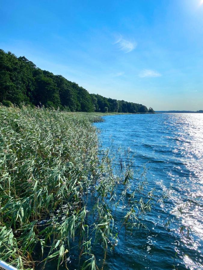 Ferienwohnung In Der Uckermark Am Oberuckersee Ot Warnitz ภายนอก รูปภาพ